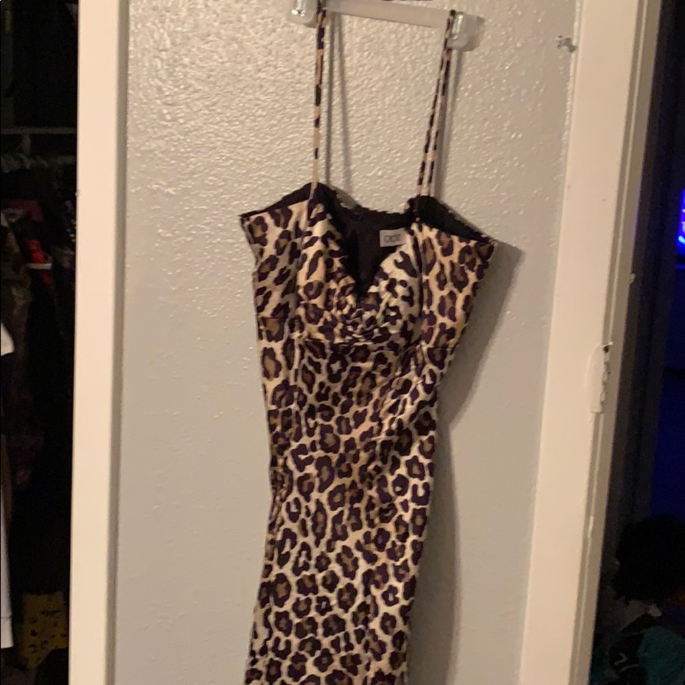 Cach’e  Leopard dress